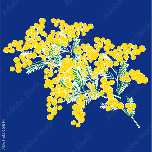 mimosa festa della donna