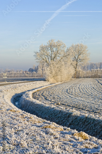 Frosted field photo