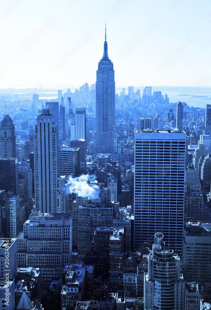 Fototapeta premium New York City skyline