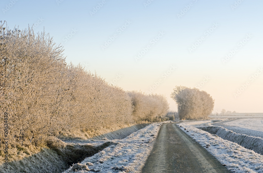 Pastel winter tones Pastel winter tones