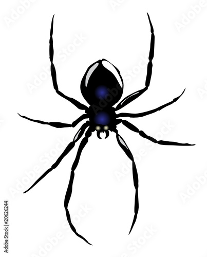 Vector. Spider