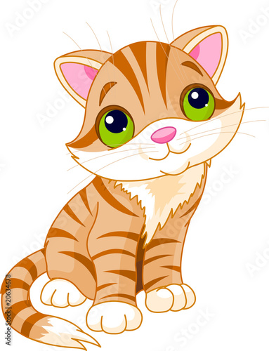 Very Cute kitten
