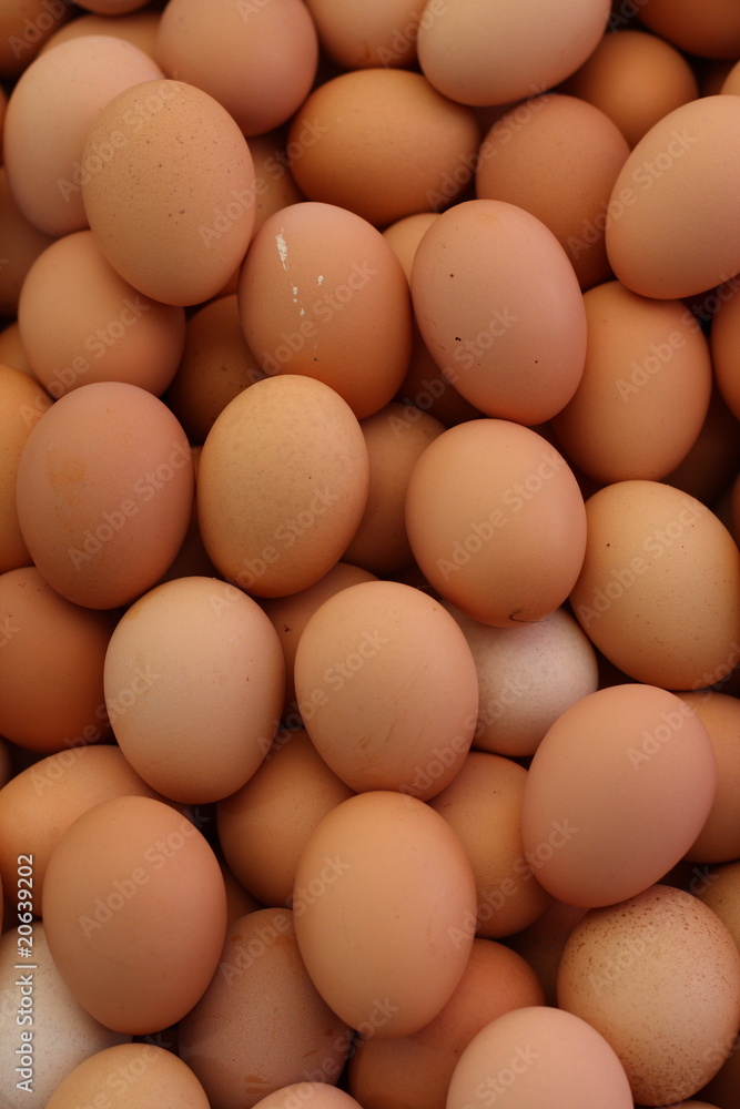 eggs eggs
