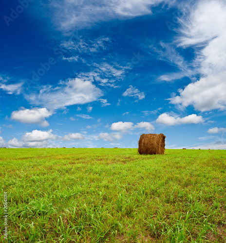 green field with hay