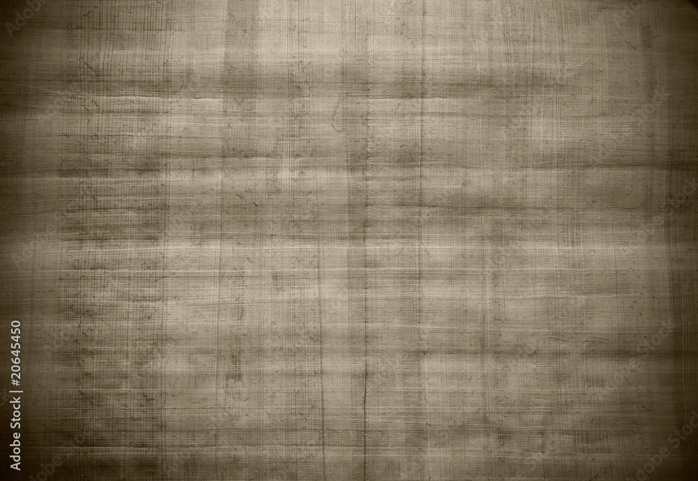 Blank Egyptian papyrus Blank Egyptian papyrus