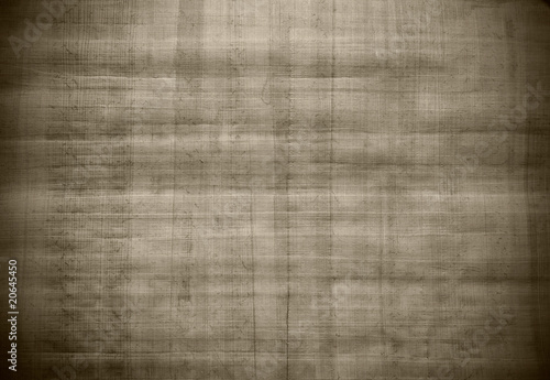 Blank Egyptian papyrus