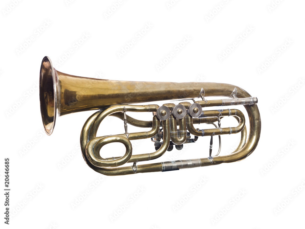 Obraz premium Worn wind instrument