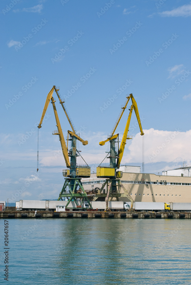 Crane Crane