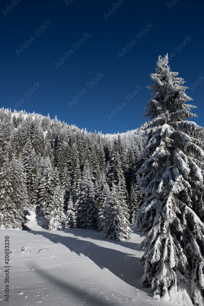 Fototapeta premium Ski resort