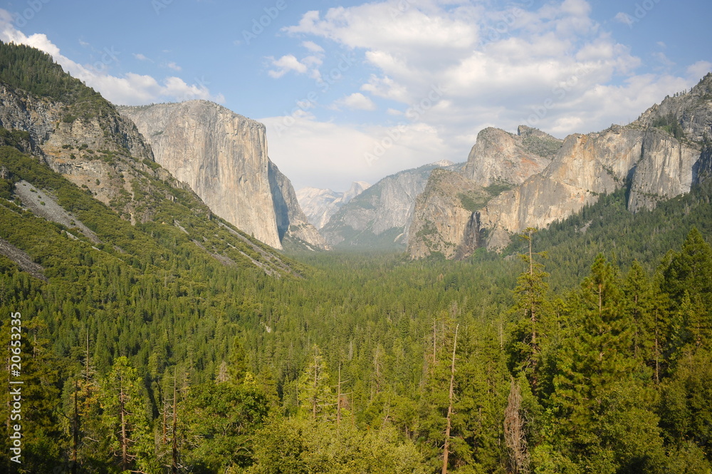 Fototapeta premium Yosemite