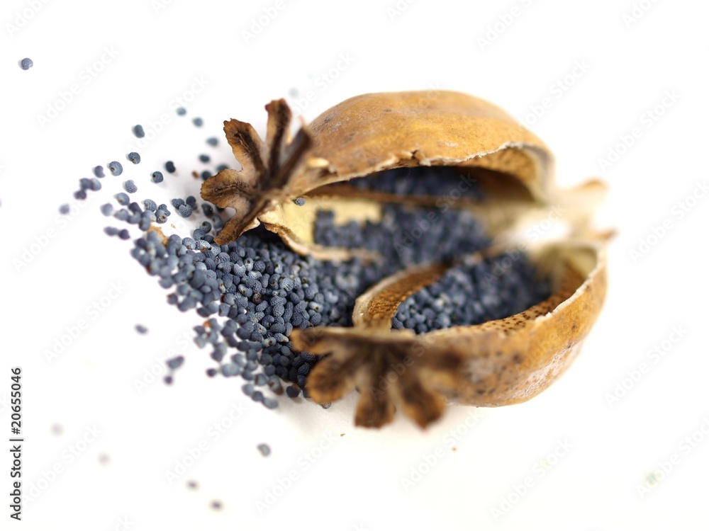 Poppy head and seeds on white background. Poppy head and seeds on white background.