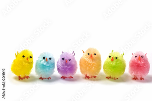 Billede på lærred Easter chicks