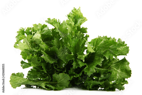 Tableau sur toile cime di rapa