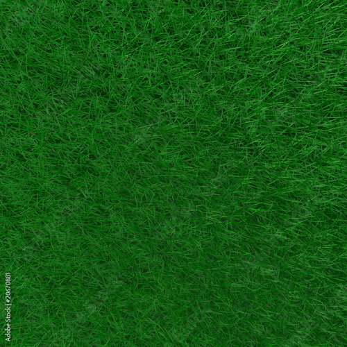 Green Grass Background