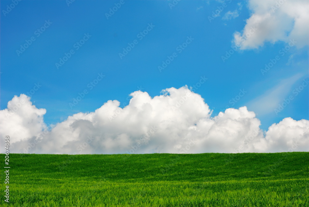 Summer landscape green field, blue sky and white clouds Summer landscape green field, blue sky and white clouds