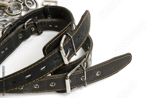 Dog collars isolated on white
