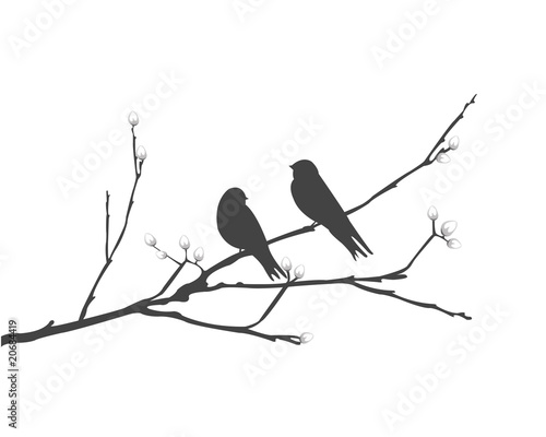 vector silhouette of the bird on branch