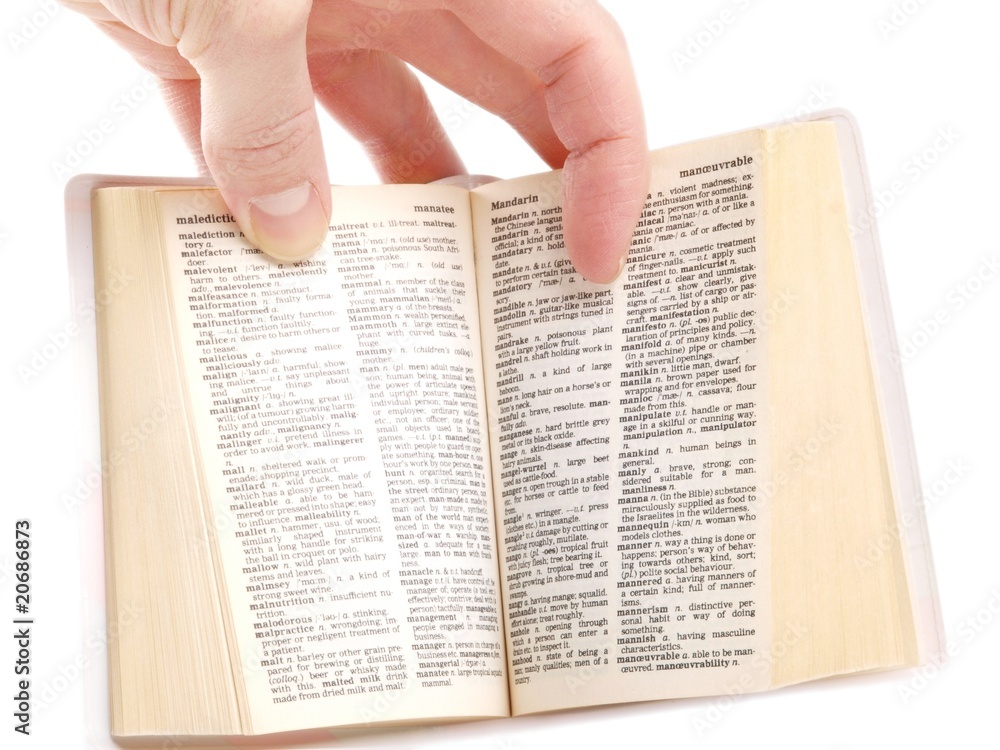 Fototapeta premium Person holding a book wide open against white background