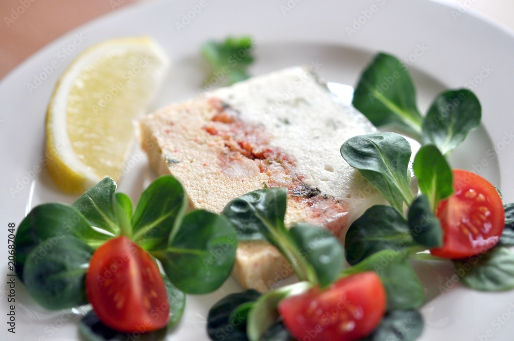 Terrine Terrine