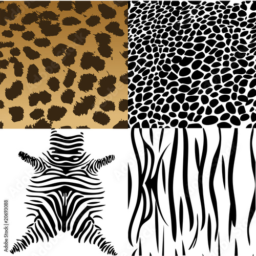 Animals skin. Vector Illustration