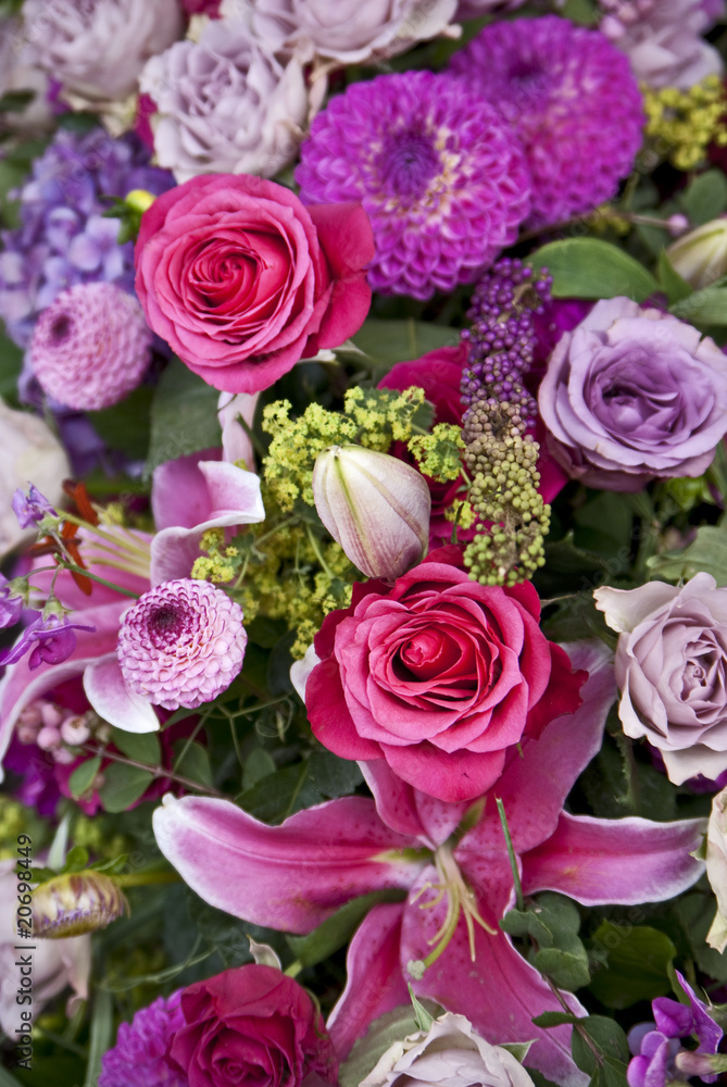 Blumen in lila-rosa. Stock Photo | Adobe Stock