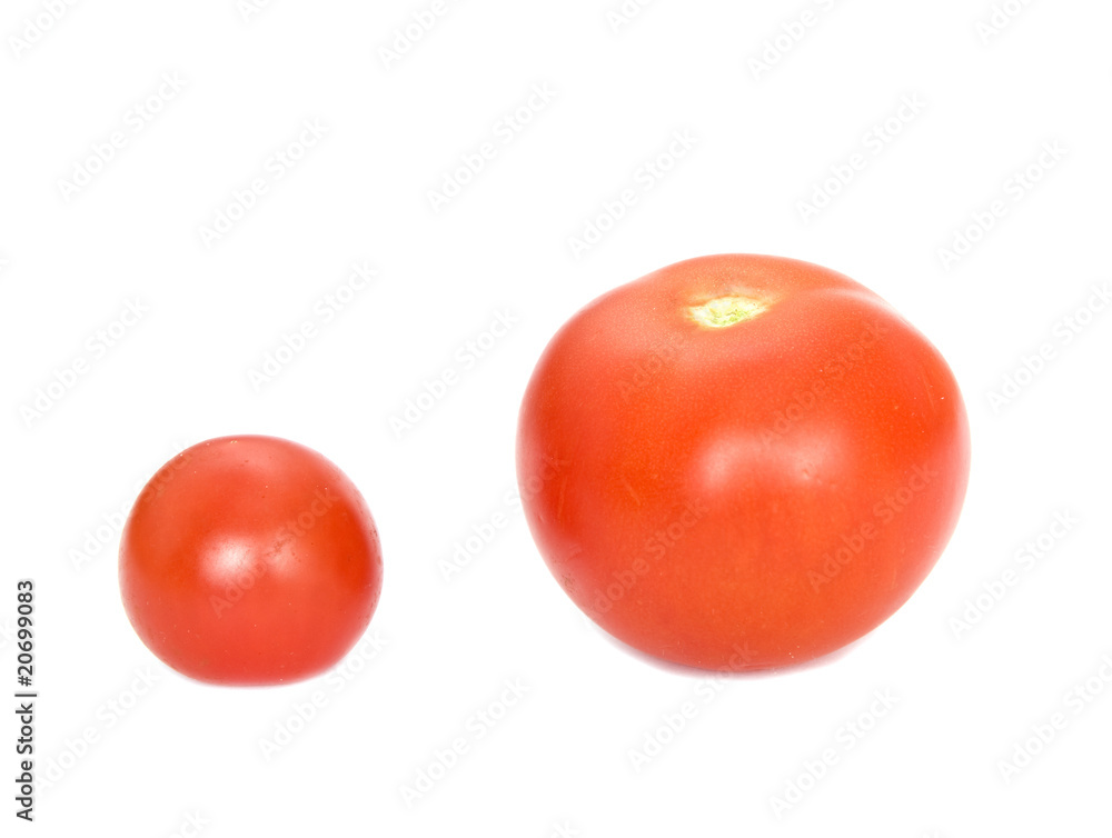 tomato on white