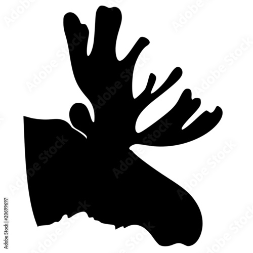 silhouette of moose
