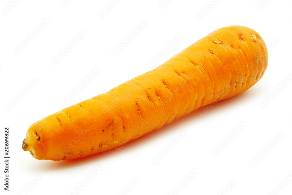 carrot carrot