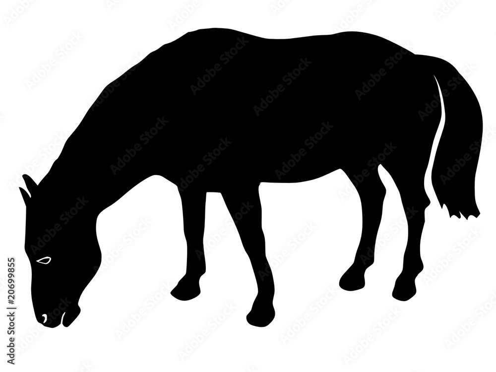 mule mule