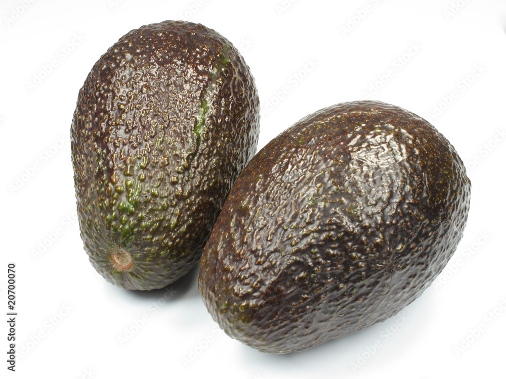 Avocado Avocado