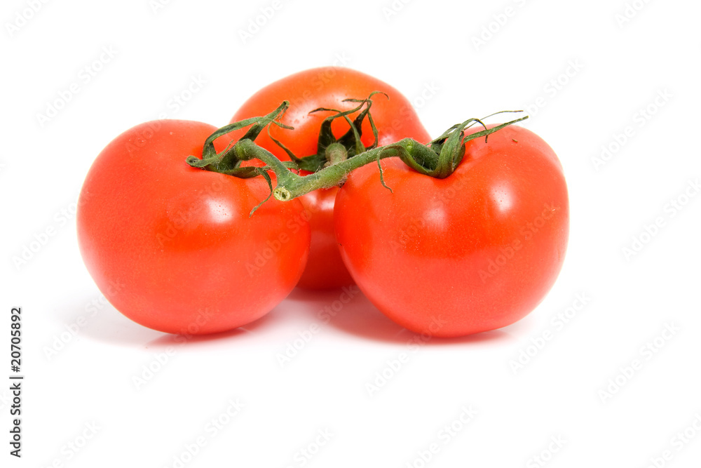 fresh spray tomatoes over white background fresh spray tomatoes over white background
