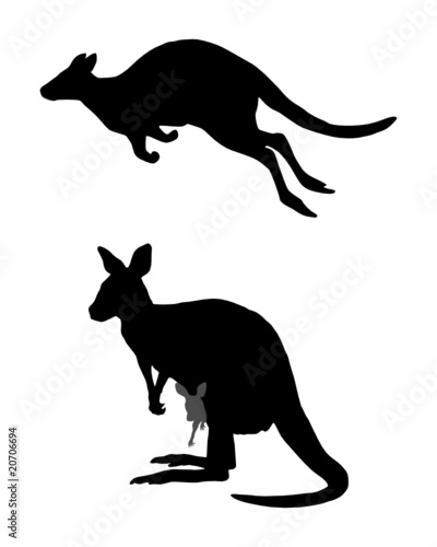 Kängurus