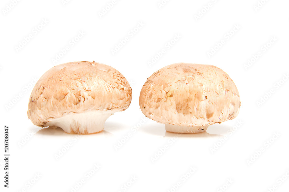 Fresh mushrooms over white background Fresh mushrooms over white background