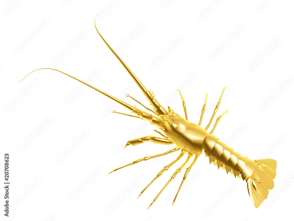 Obraz premium golden lobster