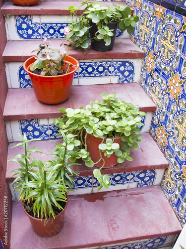 ladder with pots, in Andalusian patio
