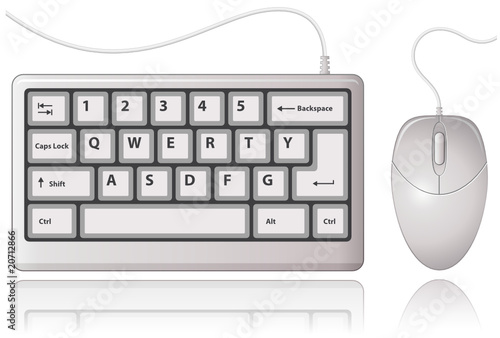 Computer Mouse and Keyboard