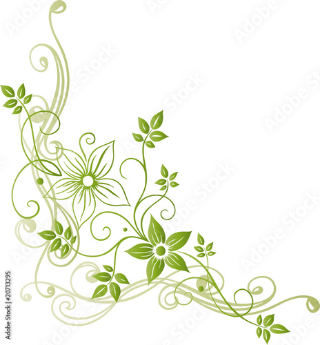 Frühling, Blumen, Blüten, Ranke, flowers, floral