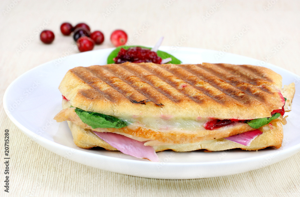 Delicous Panini of fresh turkey, spinach, melted cheese and cran Delicous Panini of fresh turkey, spinach, melted cheese and cran