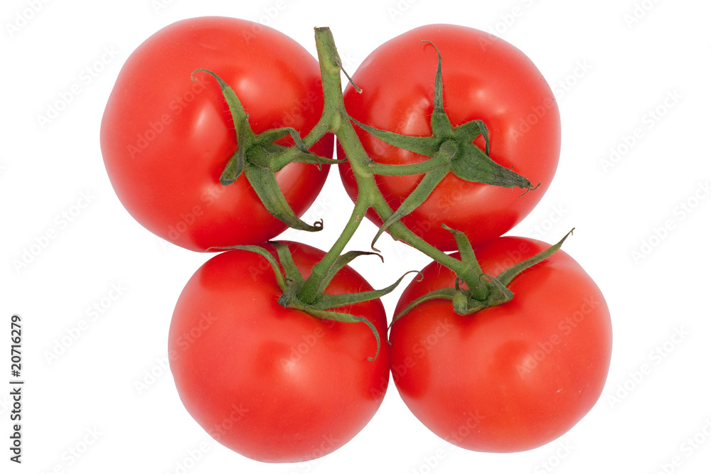 Ripe Tomatoes Ripe Tomatoes