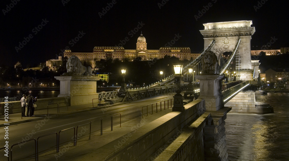 Fototapeta premium Chain bridge in Budapest
