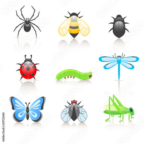 cartoon insect icon set © Colorlife