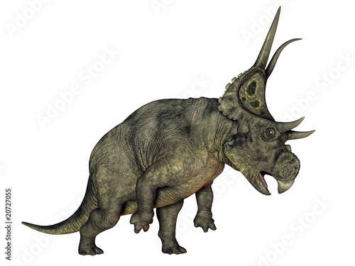 Diabloceratops © Michael Rosskothen