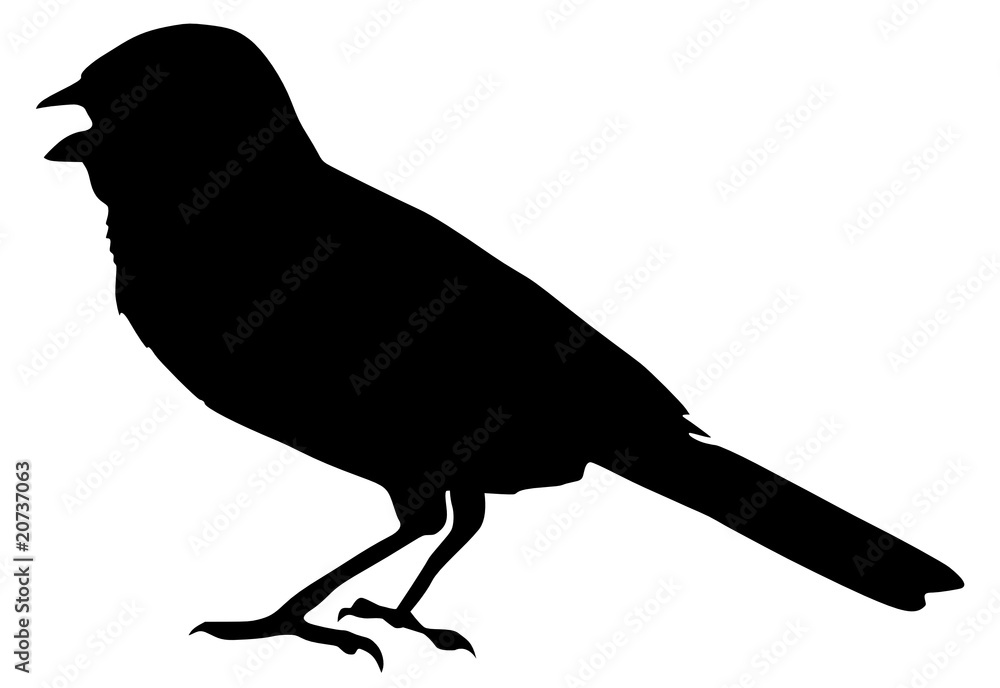 silhouette of sparrow silhouette of sparrow