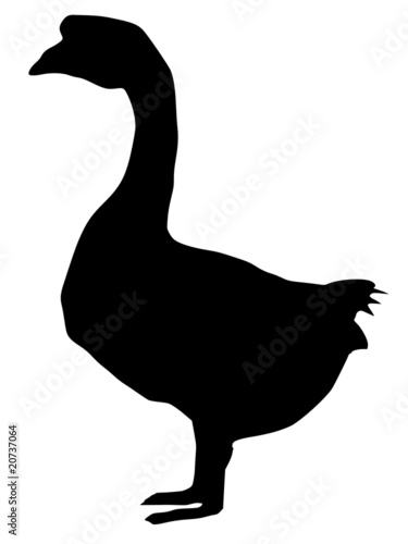 silhouette of goose