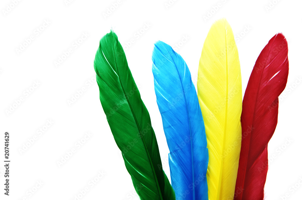 colored feathers colored feathers