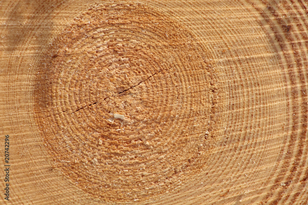 Naklejka premium Jahesringe