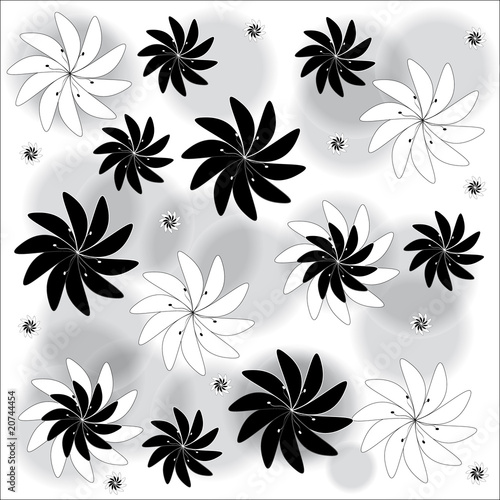 fleur baroque blanc et noir