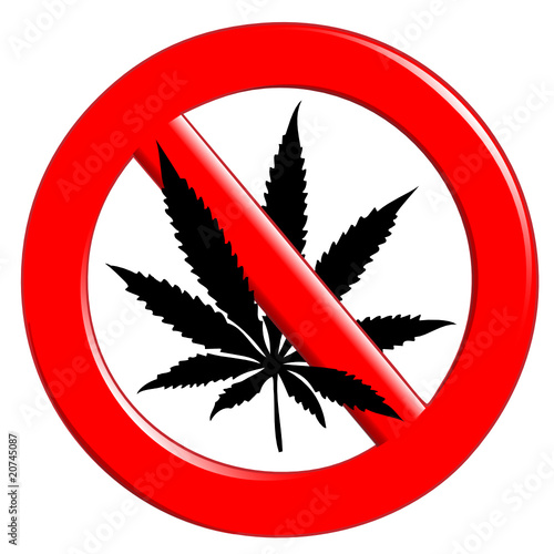 No cannabis