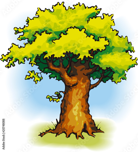 oak