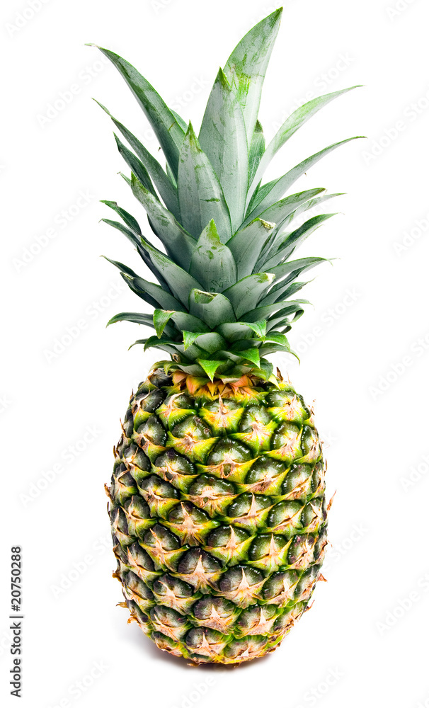 Pineapple Pineapple